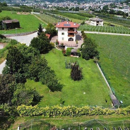 Il Gallo Pergine Valsugana Exteriér fotografie